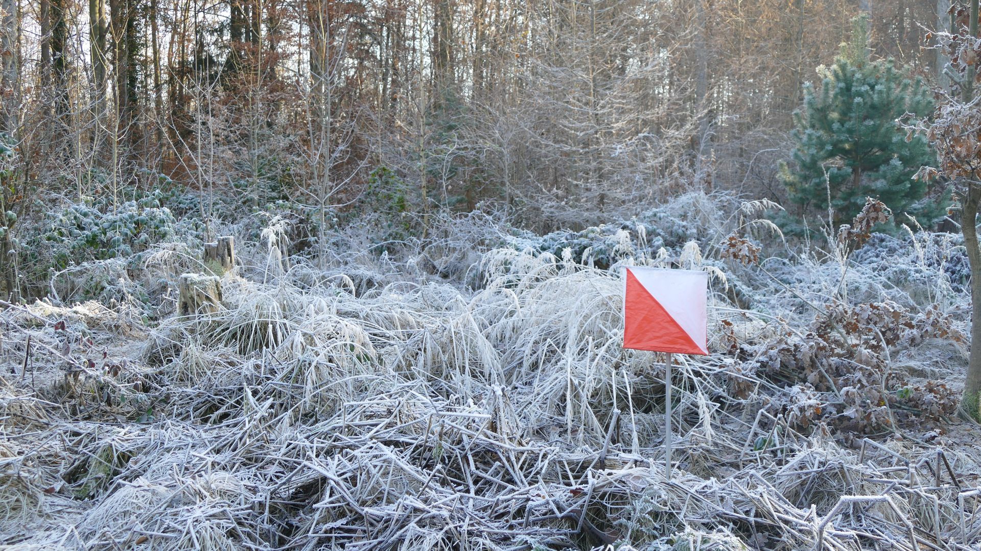 Alles Gute f�r 2026